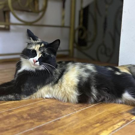 Guesto Hostel Ташкент Экстерьер фото